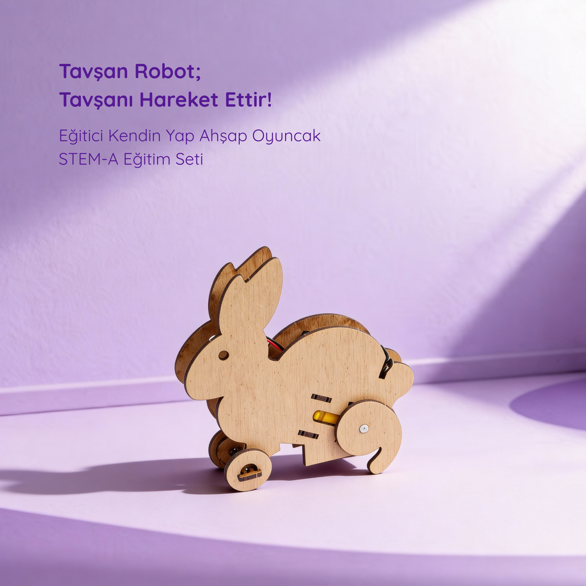 Tavşan Robot