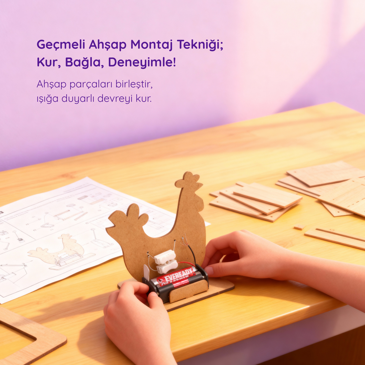 Işığa Duyarlı Horoz