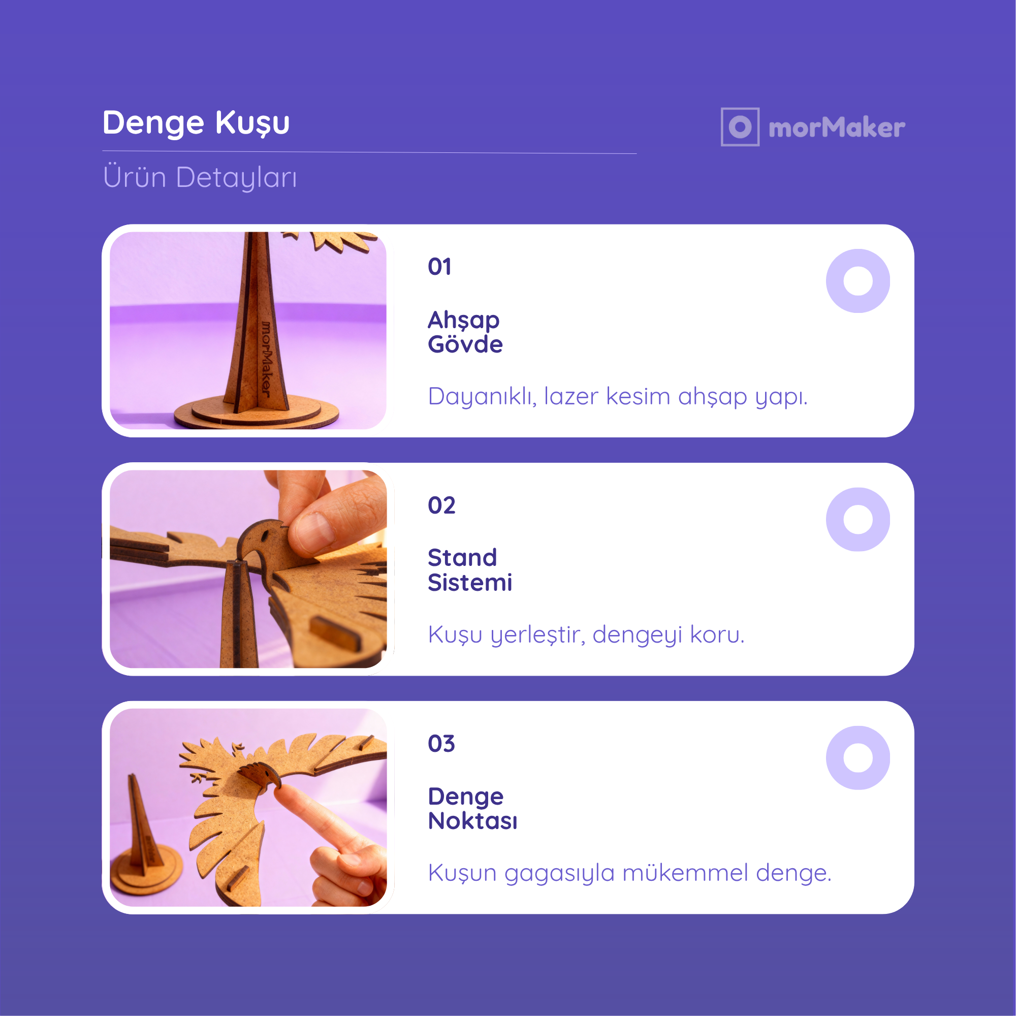 Denge Kuşu Kendin Yap Ahşap Oyuncak STEM-A Eğitimi Seti