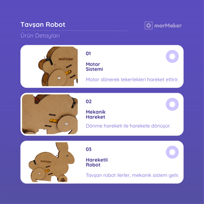Tavşan Robot