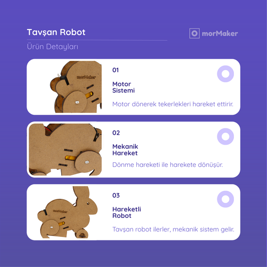 Tavşan Robot
