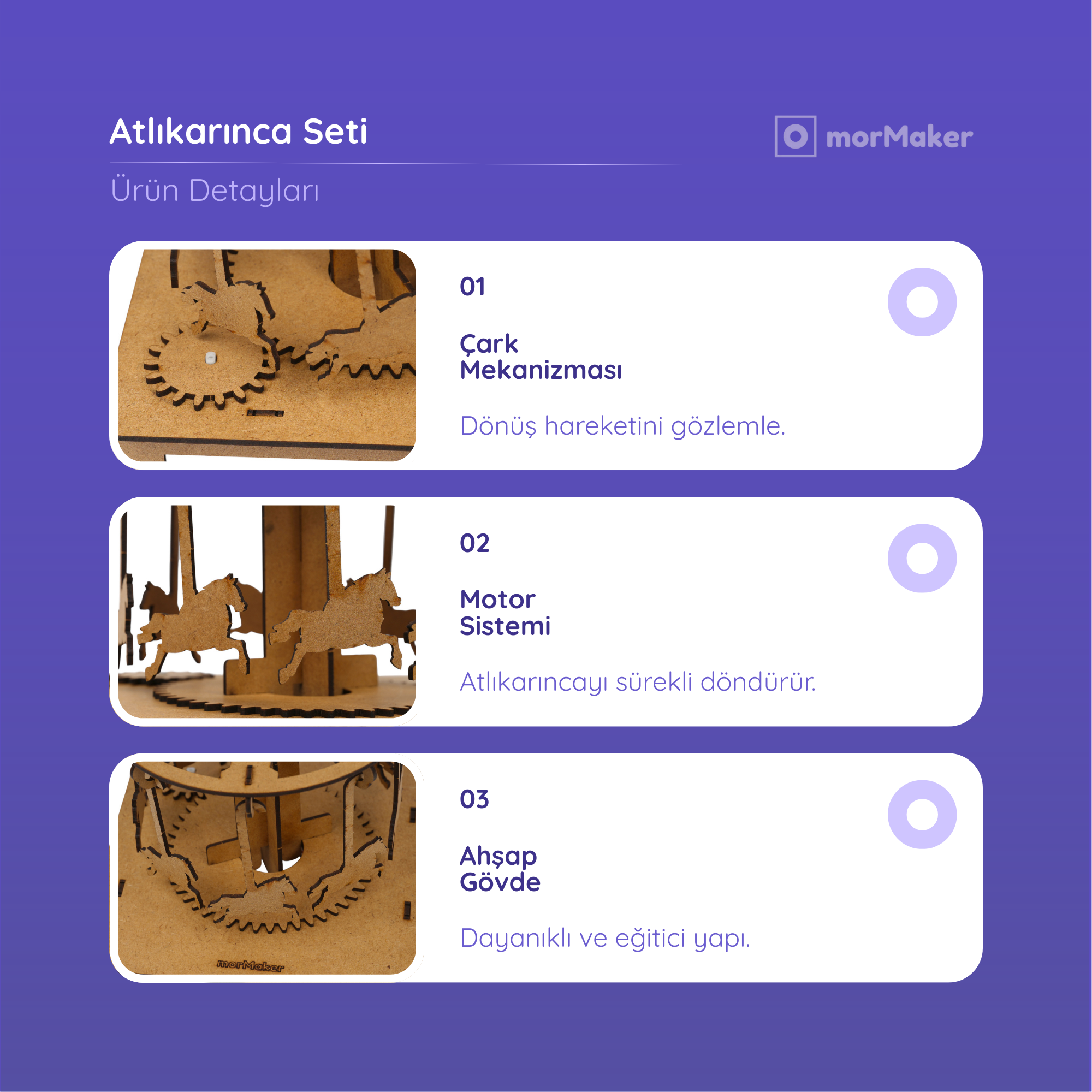 Atlıkarınca Sistemi | Kendin Yap Ahşap Oyuncak | STEM-A Eğitim Seti |