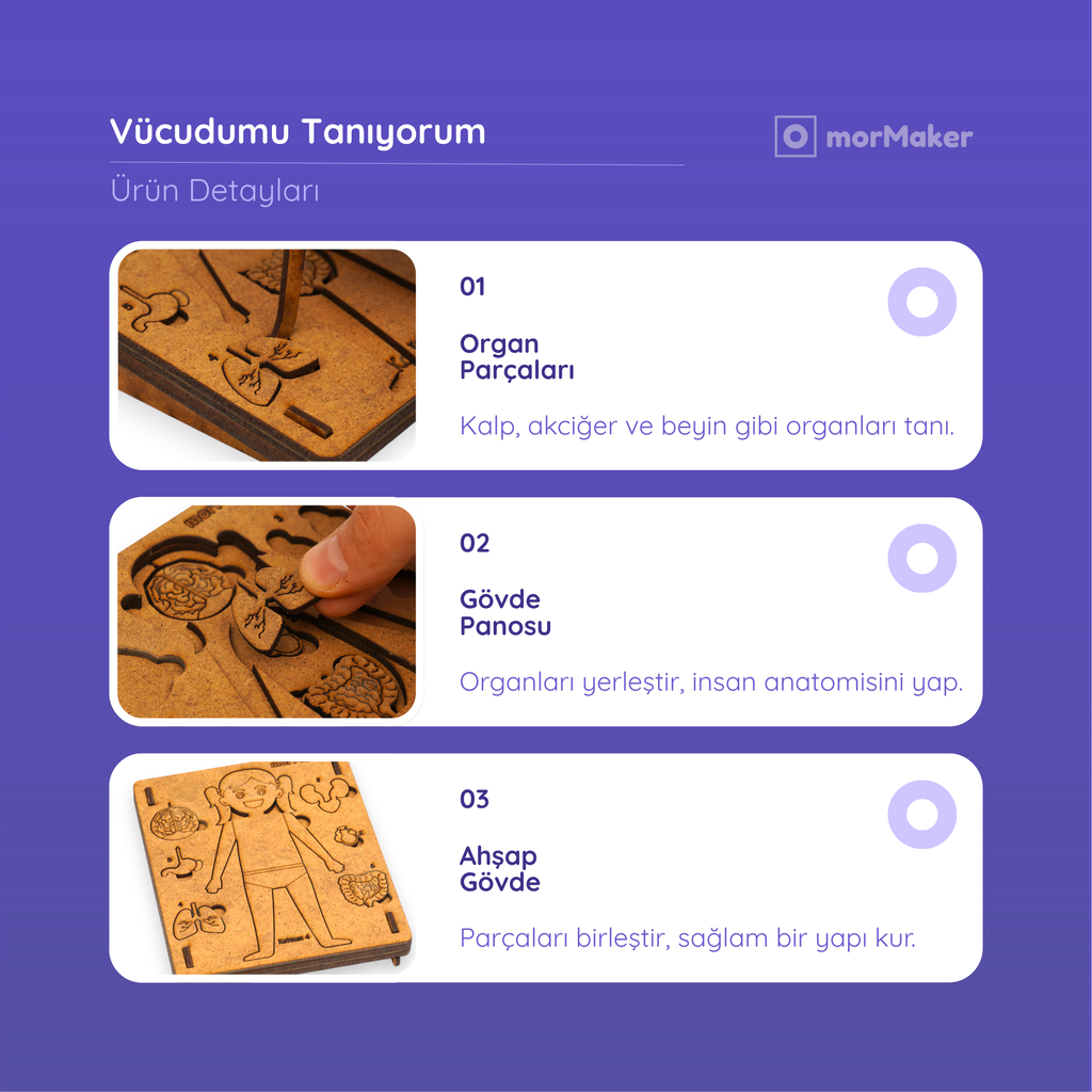 Vücudumu Tanıyorum | Eğitici Kendin Yap Ahşap Oyuncak | STEM-A Eğitim Seti