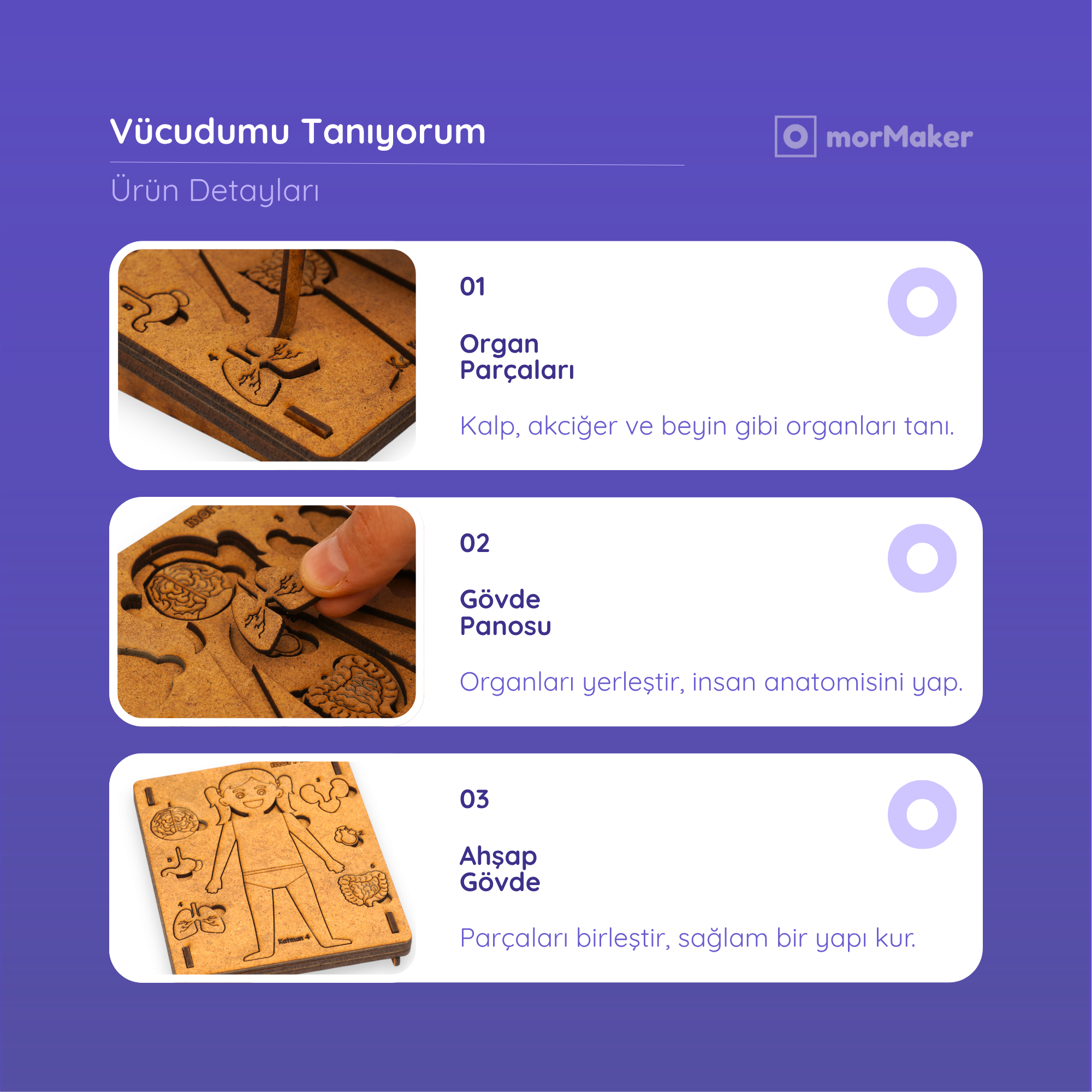 Vücudumu Tanıyorum | Eğitici Kendin Yap Ahşap Oyuncak | STEM-A Eğitim Seti