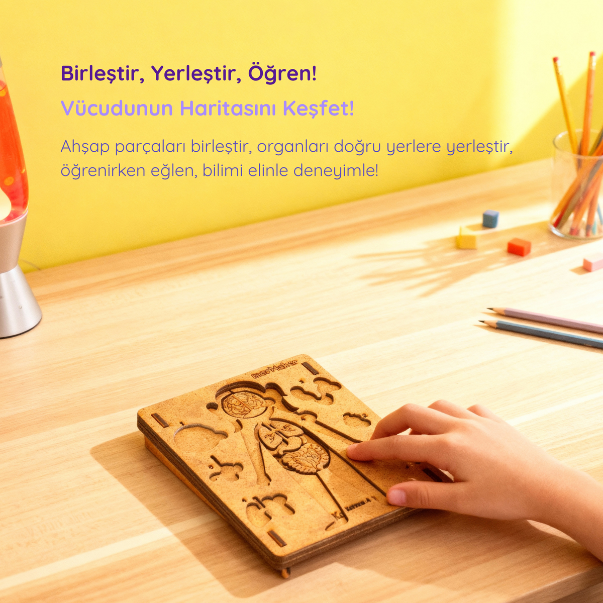 Vücudumu Tanıyorum