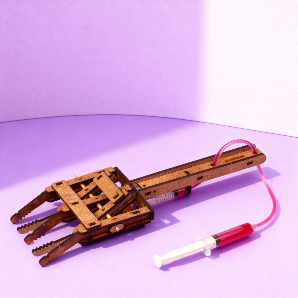 Hidrolik Robot El Kendin Yap Ahşap Oyuncak STEM-A Eğitim Seti