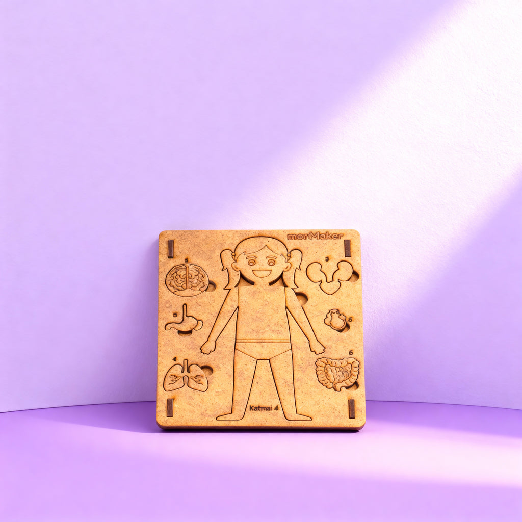 Vücudumu Tanıyorum | Eğitici Kendin Yap Ahşap Oyuncak | STEM-A Eğitim Seti