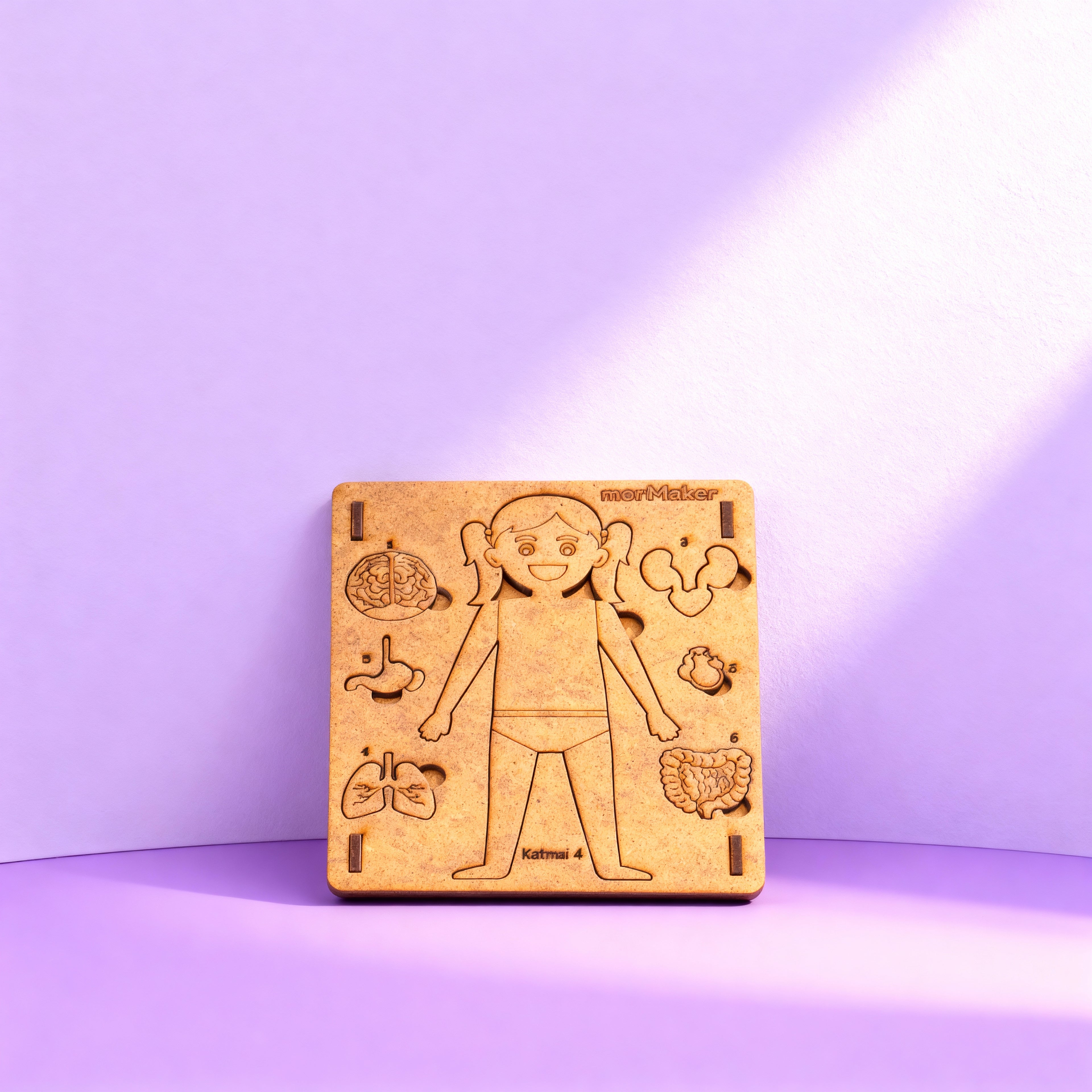 Vücudumu Tanıyorum | Eğitici Kendin Yap Ahşap Oyuncak | STEM-A Eğitim Seti